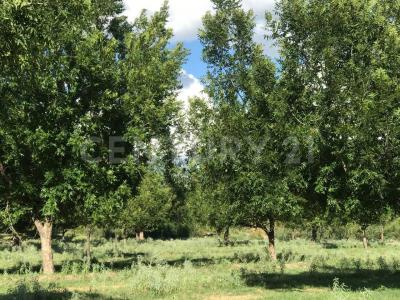 Julimes, Chihuahua 32950, Meksyk