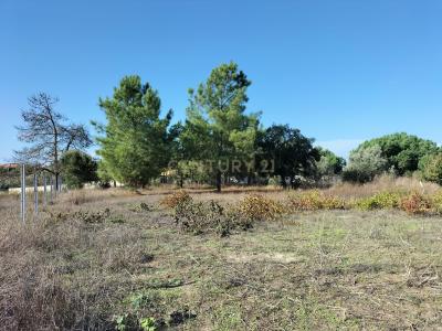 Palmela, Setubal 2955-264, Portekiz