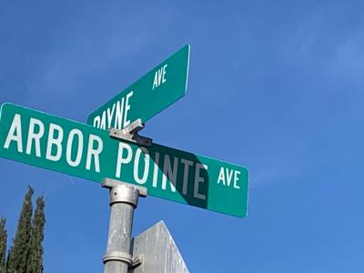 0 Arbor Pointe, Gustine, California 95322, USA