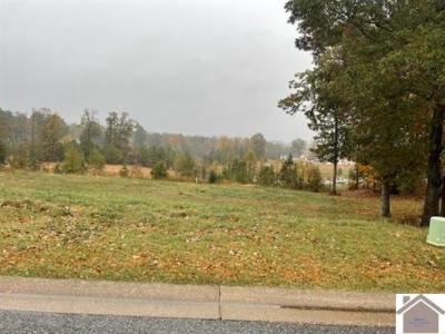 Lot 92 Forest Ridge Dr., Paducah, Kentucky 42003, Estados Unidos