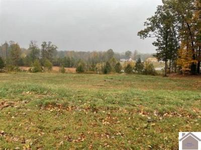 Lot 92 Forest Ridge Dr., Paducah, Kentucky 42003, Amerika Birleşik Devletleri