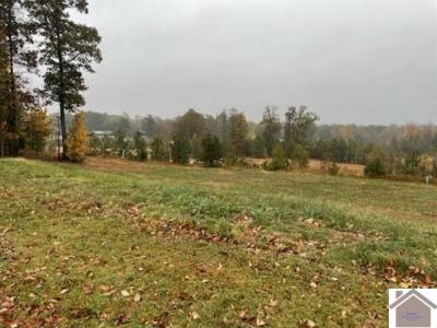 Lot 92 Forest Ridge Dr., Paducah, Kentucky 42003, Amerika Birleşik Devletleri