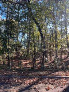 Lot 12 Mockingbird Lane, Camden, Arkansas 71701, USA