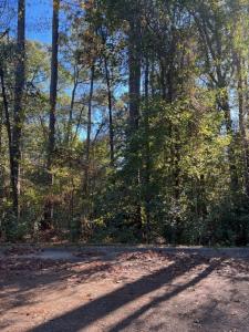 Lot 15 Mockingbird Lane, Camden, Arkansas 71701, USA