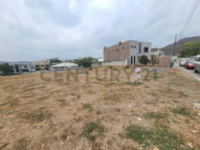 Condado Vicolinci s/n, Daule, Guayas 00001, Ecuador