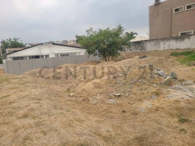 Condado Vicolinci s/n, Daule, Guayas 00001, Ecuador