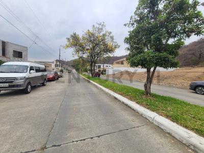 Condado Vicolinci s/n, Daule, Guayas 00001, Ecuador