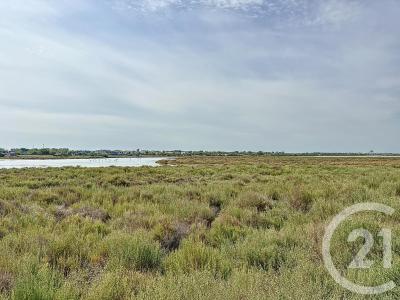 Palavas Les Flots, Languedoc-Roussillon 34250, 法國