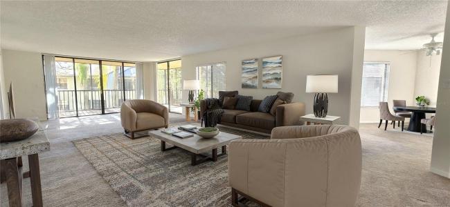 3076 EASTLAND BOULEVARD 106, CLEARWATER, 佛罗里达州 33761, 美国