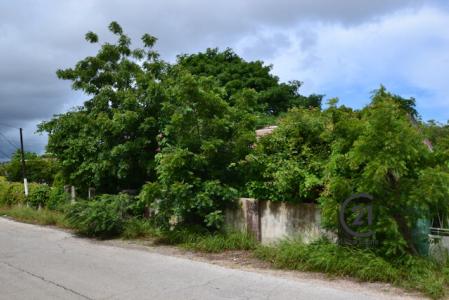 Amerikanenkamp Spacious Lot, Amerikanenkamp, Willemstad North, Curaçao