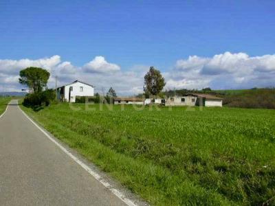 località pian taverna, Cinigiano, Toscana 58044, Italien