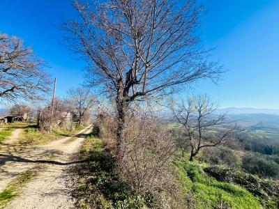 località podere pelacane, Cinigiano, Toscana 58044, Italien