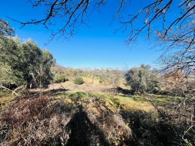 località podere pelacane, Cinigiano, Toscana 58044, Italien