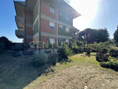 Scansano, Toscana 58054, Itália