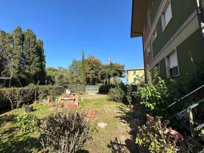 Scansano, Toscana 58054, Italia