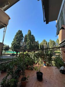 Scansano, Toscana 58054, Italia
