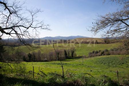 Civitella Paganico, Toscana 58045, 이탈리아