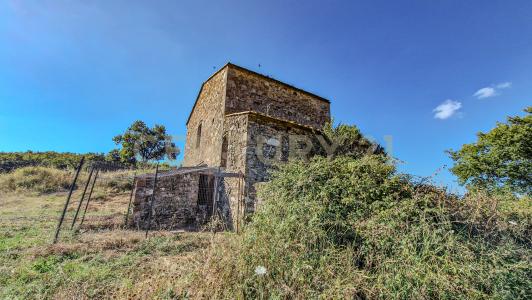 località cinigliano, Roccastrada, Toscana 58036, İtalya
