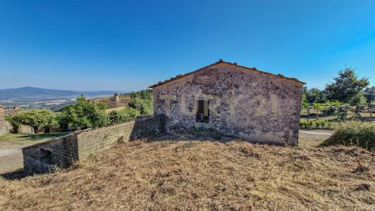 località case cinigliano, Roccastrada, Toscana 58036, İtalya