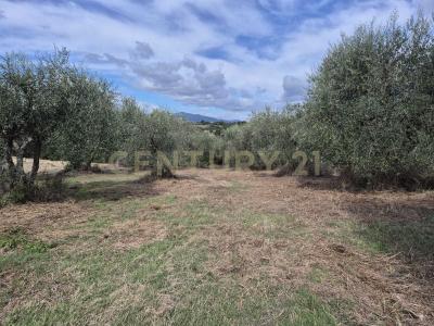 località la vena, Civitella Paganico, Toscana 58045, イタリア