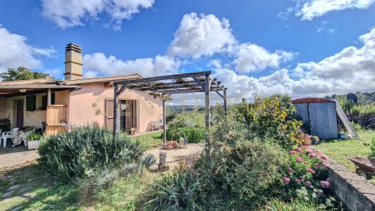 SP159, Scansano, Toscana 58054, Itália