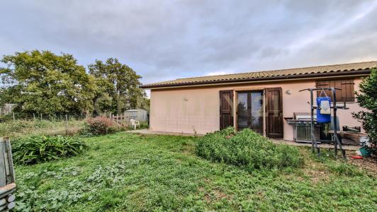 SP159, Scansano, Toscana 58054, Itália