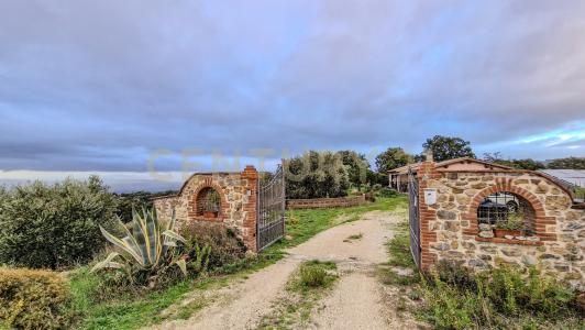 SP159, Scansano, Toscana 58054, Itália