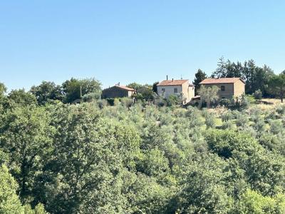 Strada Provinciale Voltina, Cinigiano, Toscana 58044, Itália