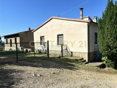 Strada Provinciale Voltina, Cinigiano, Toscana 58044, Itália