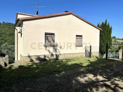 Strada Provinciale Voltina, Cinigiano, Toscana 58044, Itália