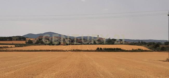 Piazza Silone Ignazio, Capalbio, Toscana 58011, Италия
