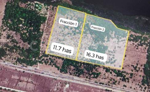 Manzanillo, Colima 28809, Mexico