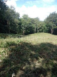 Restrepo, Meta 00001, Colombia