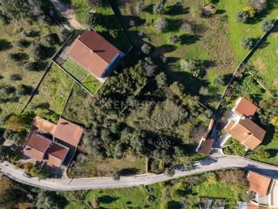 Tomar, Santarem 2035-173, Portugal