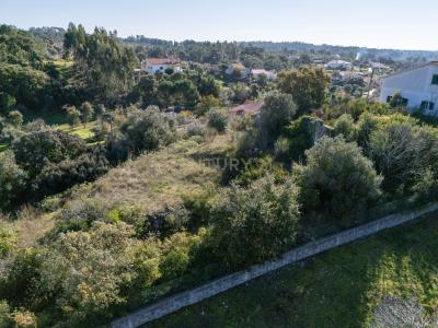 Tomar, Santarem 2035-173, Portugal