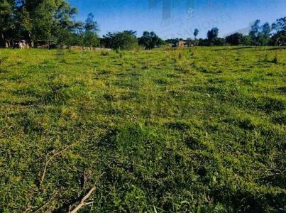 Caaguazu, J. Eulogio Estigarribia Campo9, entre San Blas y Ko'e Rory , Doctor J. Eulogio Estigarribia, Caaguazú 00001, 巴拉圭