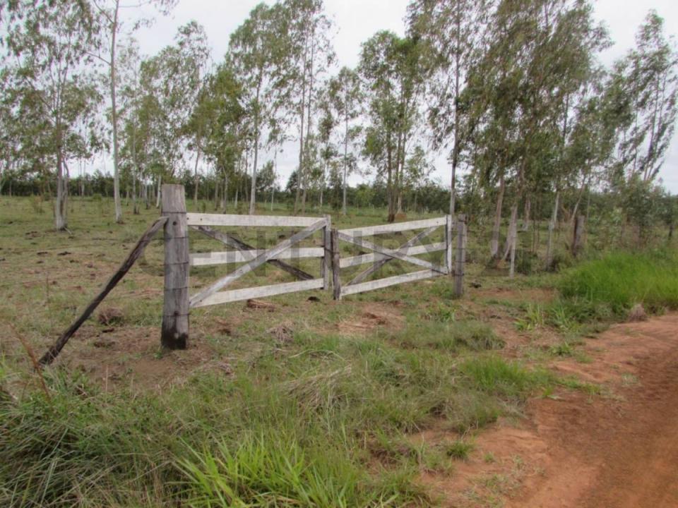 Coronel Bogado, Itapúa 00001, פרגוואי