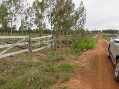 Coronel Bogado, Itapúa 00001, פרגוואי