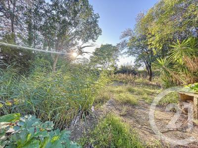 Baillargues, Languedoc-Roussillon 34670, France