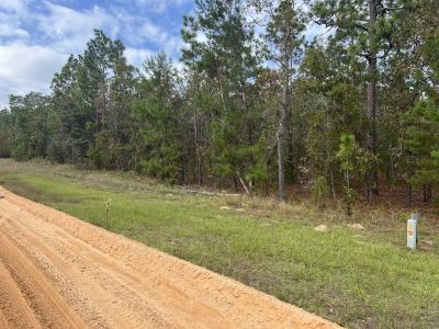 255 Melrose Landing Drive, Hawthorne, Flórida 32640, Estados Unidos