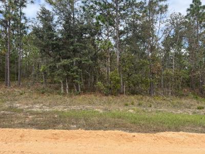 255 Melrose Landing Drive, Hawthorne, Flórida 32640, Estados Unidos