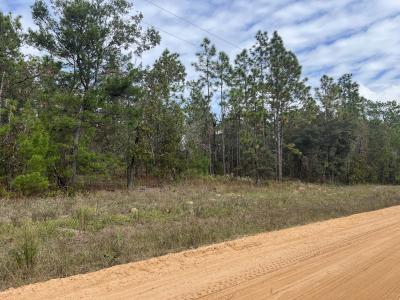 255 Melrose Landing Drive, Hawthorne, Flórida 32640, Estados Unidos