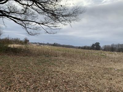 0 Hwy 51, Troy, Tennessee 38260, HOA KỲ