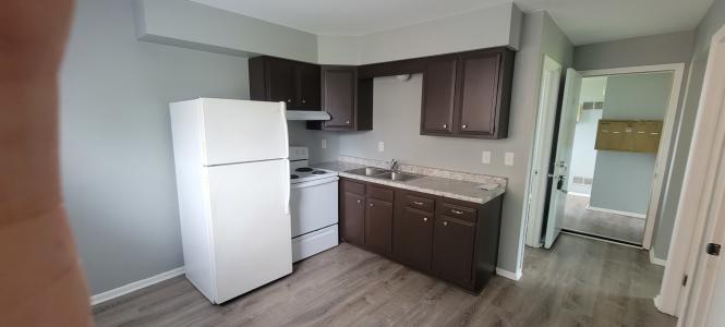 205 Sandra Avenue, Mendota, إلينوي 61342, الولايات المتحدة