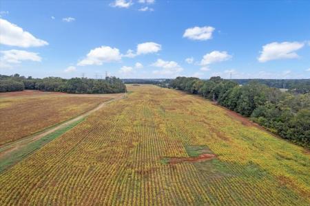 0 Nor Nan Road, Decherd, 田纳西州 37324, 美国