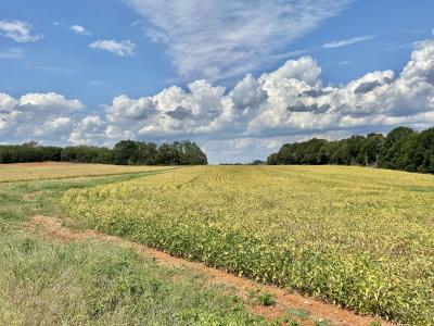 0 Nor Nan Road, Decherd, 田纳西州 37324, 美国