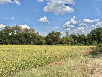 0 Nor Nan Road, Decherd, 田纳西州 37324, 美国