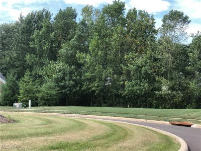 1612 Mids Court, Streetsboro, Ohio 44241