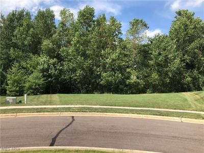 1612 Mids Court, Streetsboro, Ohio 44241