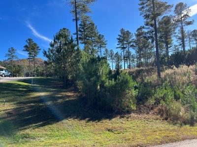 Lot 313 The Cove @ 1300, Blairsville, Georgia 30512, Estados Unidos